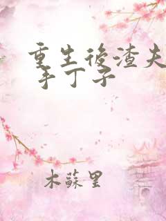 重生后渣夫变了 手丁子