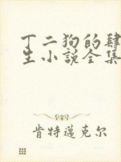 丁二狗的肆意人生小说全集免费下载