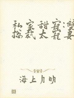 私家甜宠:双面总裁太宠妻