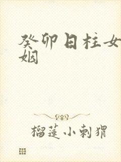 癸卯日柱女命婚姻