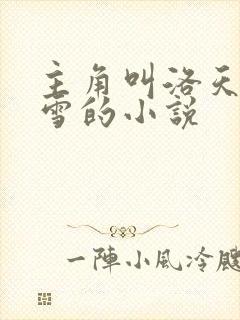 主角叫洛天杨沐雪的小说