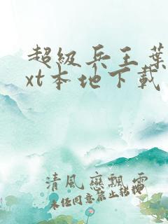 超级兵王叶谦txt本地下载