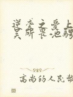 逆袭之爱上情敌吴所畏池骋小说免费下载