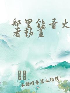 哪里能看火影忍者动画