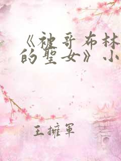 《被哥布林俘虏的圣女》小说