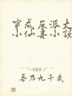 穿成反派大佬的小仙妻小说免费阅读