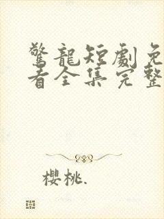 惊龙短剧免费观看全集完整版