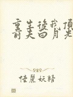 重生后我顶替了前夫白月光小