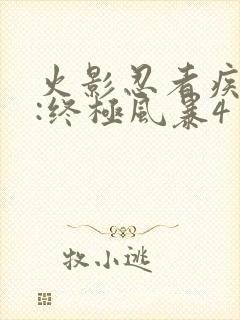 火影忍者疾风传:终极风暴4