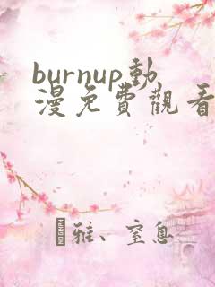 burnup动漫免费观看高清