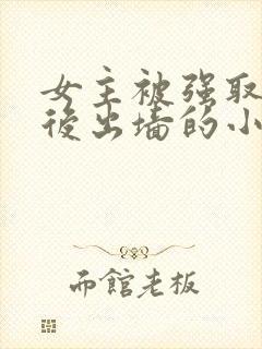 女主被强取豪夺后出墙的小说