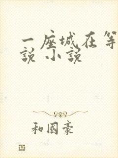 一座城在等你小说 小说