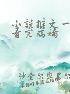 小说推文一口气看完病娇