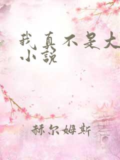 我真不是大佬 小说