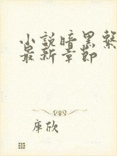 小说暗黑系暖婚最新章节