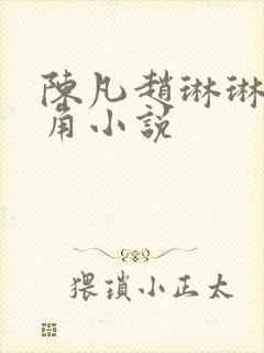 陈凡赵琳琳的主角小说