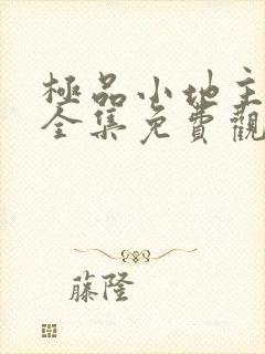 极品小地主短剧全集免费观看