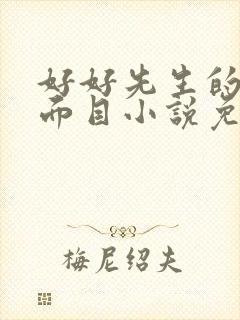 好好先生的真实面目小说免费阅读