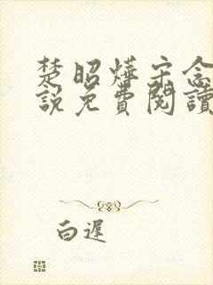 楚昭烨宋念安小说免费阅读最新章节