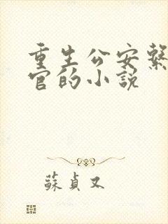 重生公安系统升官的小说