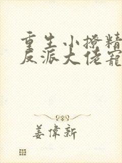 重生小撩精我把反派大佬宠娇了