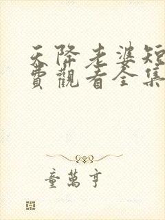 天降老婆短剧免费观看全集高清