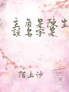 主角是陈生的小说名字是