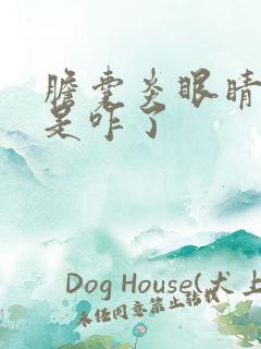 胆囊炎眼睛发黄是咋了