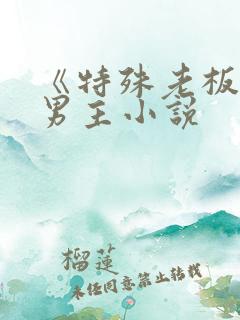 《特殊老板》双男主小说