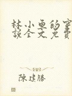 林小鱼的穿越小说全文免费阅读