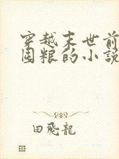 穿越末世前偷偷囤粮的小说