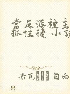 当反派被主角们抓住后 小说