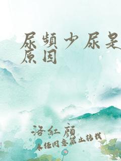 尿频少尿是什么原因