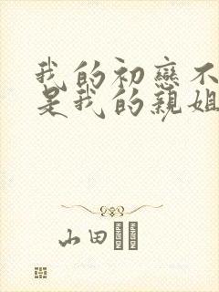 我的初恋不可能是我的亲姐姐 动漫免费观看