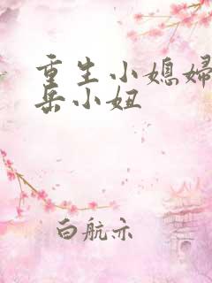 重生小媳妇by岳小妞