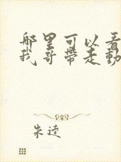 哪里可以看快把我哥带走动漫