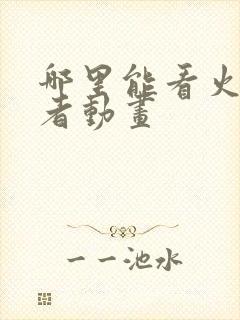 哪里能看火影忍者动画