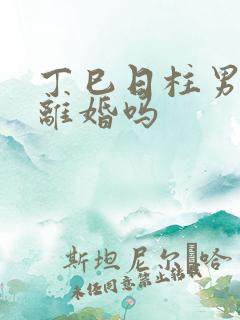 丁巳日柱男命必离婚吗