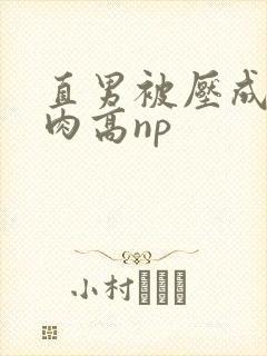 直男被压成总受肉高np