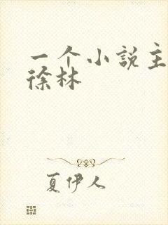 一个小说主角叫徐林