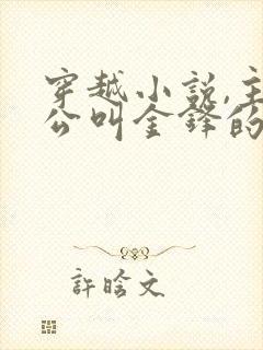 穿越小说,主人公叫金锋的小说