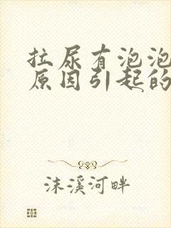 拉尿有泡泡什么原因引起的