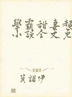 学霸甜妻超暖萌小说全文免费阅读