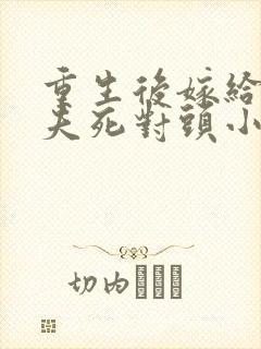 重生后嫁给了前夫死对头小说