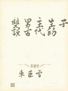 双男主生子文小说古代的