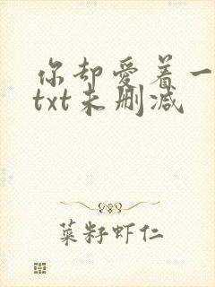 你却爱着一个他txt未删减
