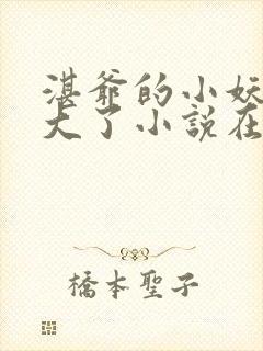 湛爷的小妖精长大了小说在线