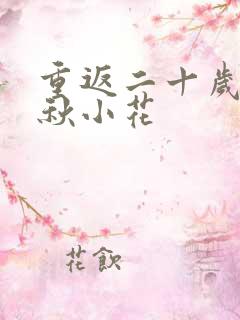 重返二十岁短剧秋小花