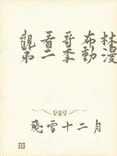 观看哥布林杀手第二季动漫