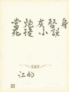 当炮灰替身的我死后 小说